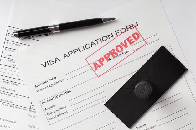 professional visa services